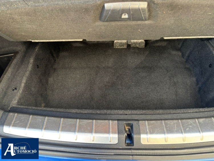 BMW Serie X1 xDrive 18d foto 14